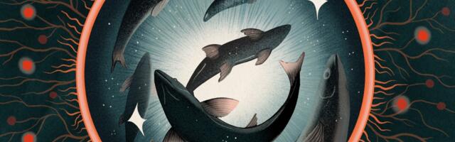 The surprisingly profound debate over whether fish feel pain