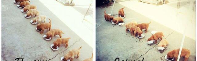 Три модели многопоточности: Event Loop, Platform Threads и Virtual Threads