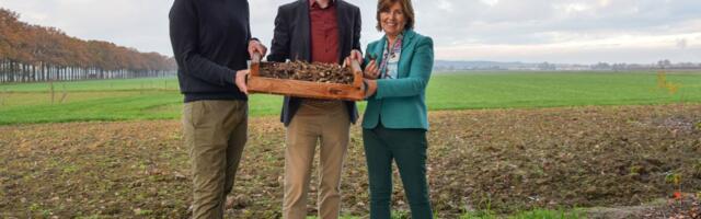 Dutch startup Aardaia raises €5M to turn wild plants into new crops and develop its “protein potato”