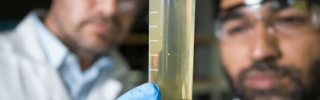 Metsä Spring invests in Montinutra Ltd, a Startup that Commercializes Wood Extracts