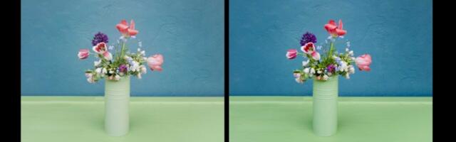 Tecno introduces 2 MP SpectraVision Camera for improved color accuracy