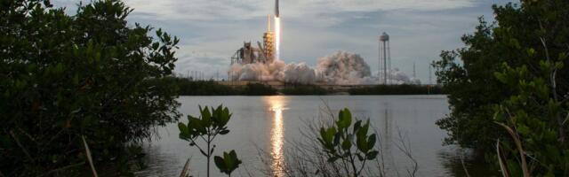 Ex-Sequoia investor Jeff Wang's new hedge fund had Morgan Stanley's Breakers conference abuzz