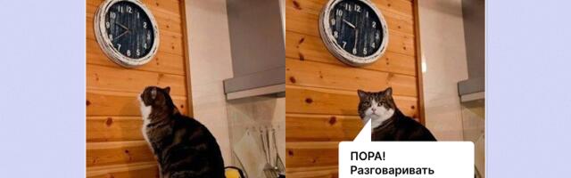 Стейкхолдер-менеджмент — это аналитический навык. Мне просто никто об этом не сказал