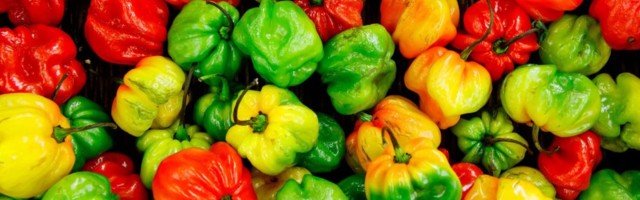 Meet the startup fighting to erase hunger with AI