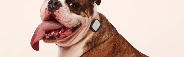 Acquisition sends thousands of Whistle pet trackers to IoT graveyard