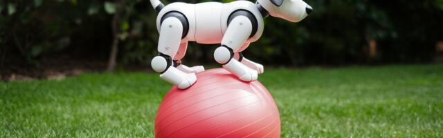 AI trains robot dog to walk on a yoga ball