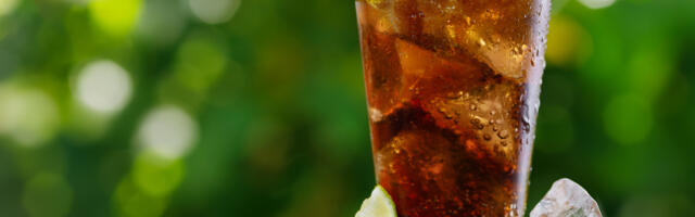 Ninja Thirsti Vs. SodaStream: Which Soda Maker Is Best For You?