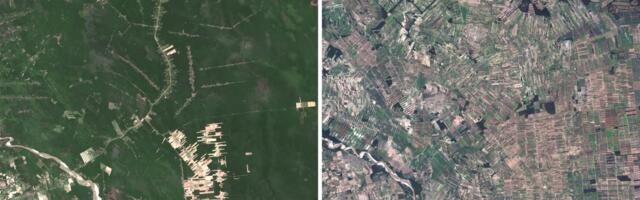 These tropical forests are critically important. Why is this religious sect cutting them down?