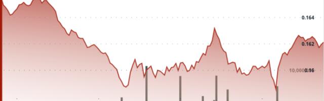 Dogecoin Finds Support Around 16 Cents After 6% Drop