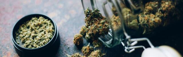 This Thanksgiving, weed smokers are grateful for ‘Green Wednesday’