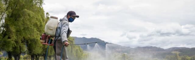 Why are young people getting colon cancer? A common weed killer may be linked, scientists say