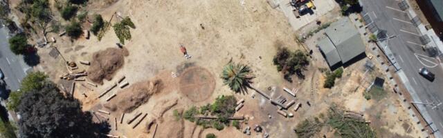 People’s Park: Demolished trees, vegetation spark $4.5 million lawsuit against UC Berkeley