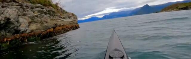 With GWM-1 family of “world models,” Runway shows ambitions beyond Hollywood