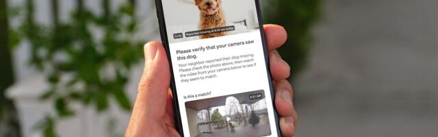 The Ring app is now a must-have for all dog owners after this change