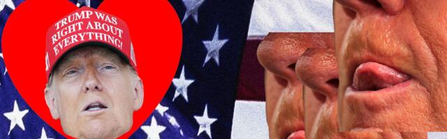 A White House Staffer Appears to Run Massive Pro-Trump X Account