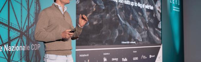 Italian biotech startup Ittinsect secured €750k to develop a sustainable alternative to aquaculture feed