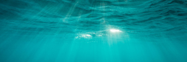 Ocean Solutions Accelerator’s third wave tackles a new set of aquatic challenges
