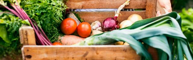 Why you should never store potatoes and onions together and what happens when you do