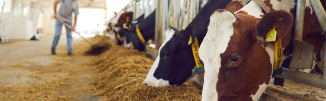 Sustainable food supply chain scaleup Hectare raises £16.5m