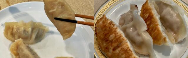 I made potstickers in 3 different appliances, and there's really only one way to do it right
