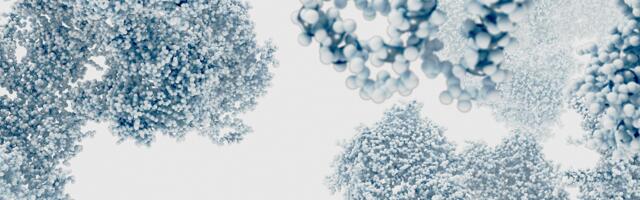 Zymvol raises €1.3 million to spread enzymes everywhere
