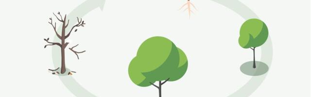 От кнопки «Создать приложение» до публикации в каталоге — глазами разработчика