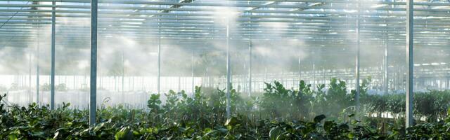 Technique Solaire's €200M investment boosts solar and biogas infrastructure
