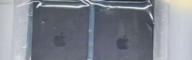 Alleged iPhone 17 series back panel leaks again