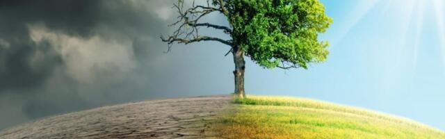 EPA chief uncovers $20 billion in taxpayer funds laundered to climate NGOs—$7B sent to ‘Climate United Fund,’ case referred to DOJ