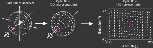 Основы оптического потока в ML: от первых принципов к уравнениям Лукаса-Канаде и Хорна-Шанка