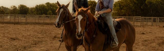 Netflix's 'Territory' review: 'Yellowstone' meets 'Succession' in the Australian outback