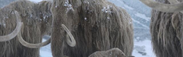 Prehistoric Planet: Ice Age showrunners confirm there’s no AI on screen – ‘mother nature is a better creator than any AI’