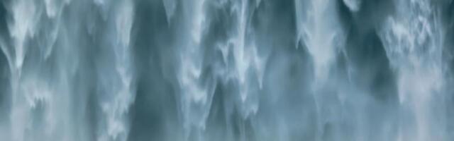 Flight to safety: How Maker’s Spark and USDC are winning the $10 billion Aave breakup