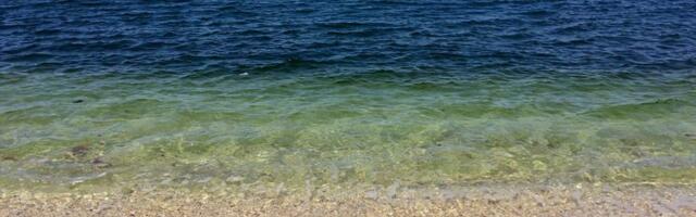 July Fourth Short-Term Rental Bookings Surge on the U.S. Coasts