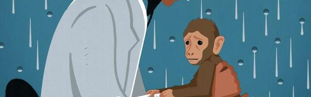 Welcome to the March issue of The Highlight