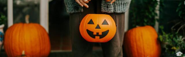 Frightfully Effective Home Security Tricks to Upgrade Your Halloween Celebrations Frightfully Effective Home Security Tricks to Upgrade Your Halloween Celebrations