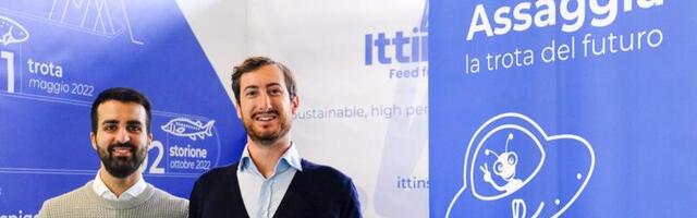 Ittinsect raises €625,000 to commercialise sustainable fish feed, made using insects