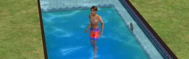 Inside the Sims rebellion