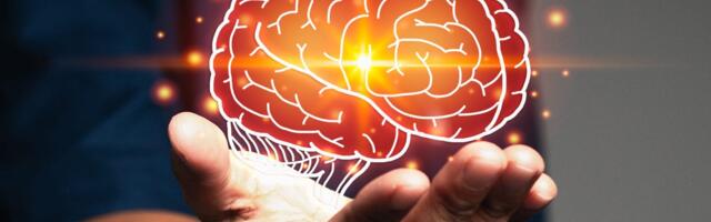 Five newly discovered life stages of your brain include a prolonged adolescence from age 9 to 32