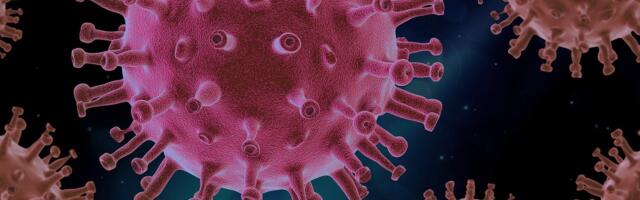 Swedish grocery delivery startup offers Covid-19 tests