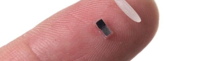 Medical marvel: The world’s tiniest pacemaker is smaller than a grain of rice