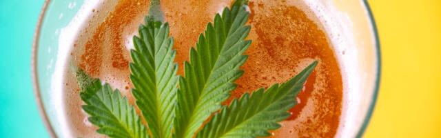 Expert Take On the New Alternative to Alcohol — THC Drinks, Are They Healthier?