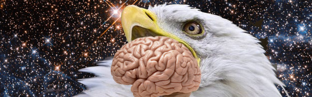 Neural’s Mind Blowers: How quantum bird brains could give us superpowers
