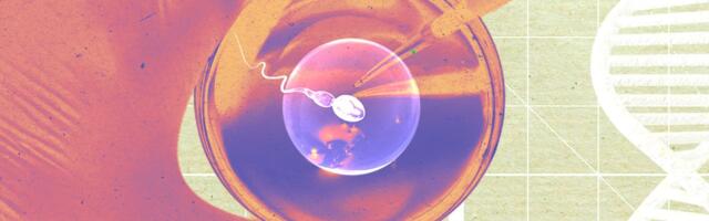 A Startup Says It Grew Human Sperm in a Lab—and Used It to Make Embryos