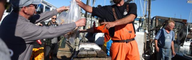 Commercial crabbing season takes sail