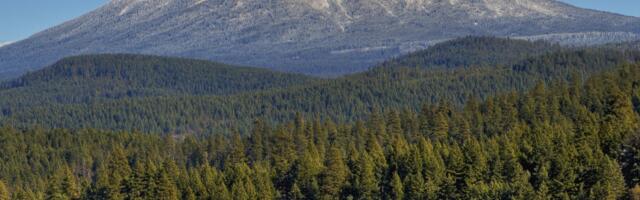 Monitoring Tree Leaves From Space Could Help Predict Volcanic Eruptions