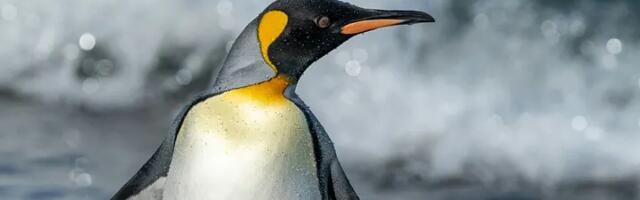 [Перевод] Вам ВРАЛИ о Linux