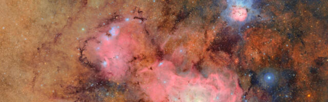 A 10-year sky survey begins filming a 'cosmic movie,' cyborg cockroaches go for a dive and more science stories