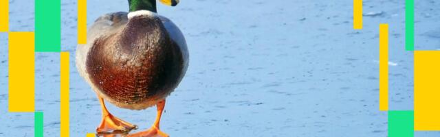 On Thin Ice: Crypto Daybook Americas