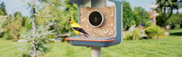 CES 2026: Birdbuddy Debuts New Smart Bird Feeders